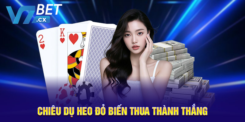 Chiêu dụ heo đỏ biến thua thành thắng