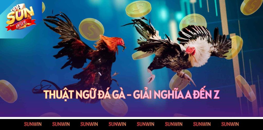 thuật ngữ đá gà