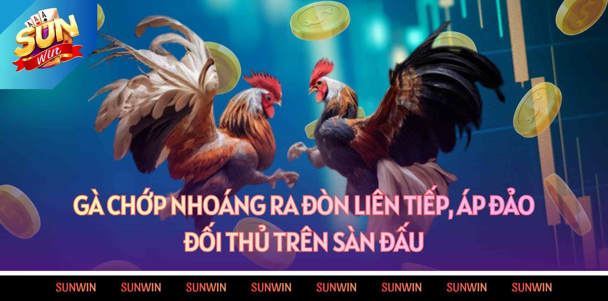 Gà chớp nhoáng ra đòn liên tiếp, áp đảo đối thủ trên sàn đấu