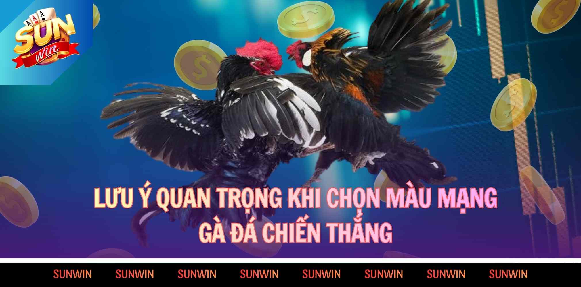 Lưu ý quan trọng khi chọn màu mạng gà chiến thắng