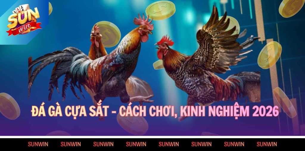 Đá gà cựa sắt