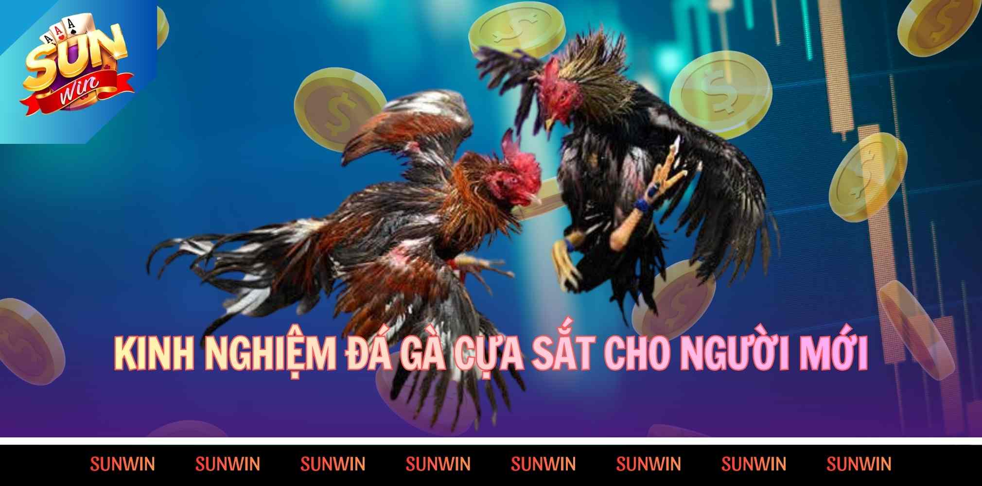 Kinh nghiệm đá gà cựa sắt hữu ích cho người mới